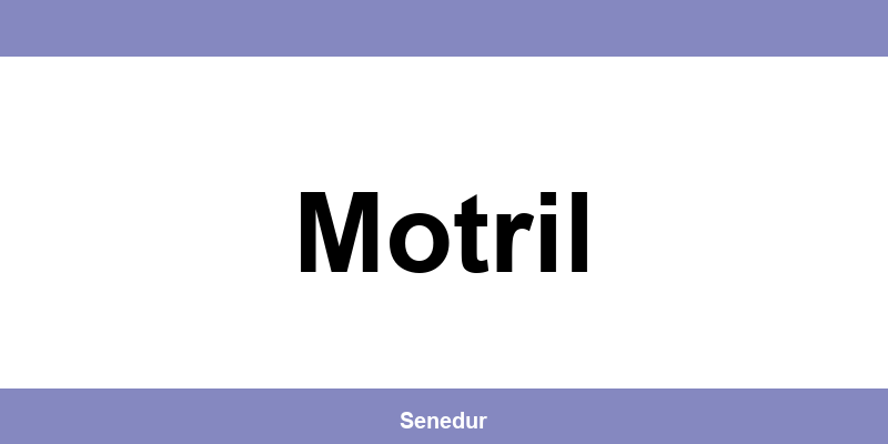 Teléfono directo de la oficina SEUR en Motril