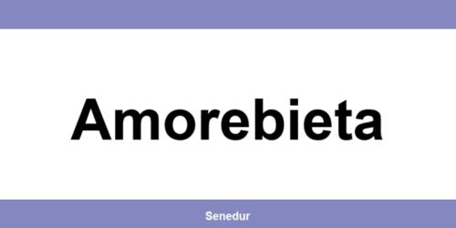 Teléfono directo de la oficina SEUR en Amorebieta