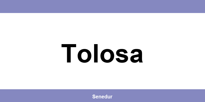 Teléfono directo de la oficina SEUR en Tolosa
