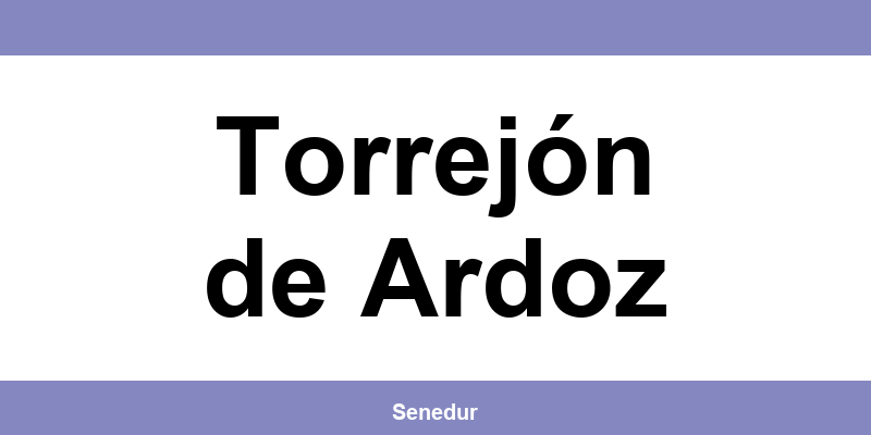Teléfono directo de la oficina SEUR en Torrejón de Ardoz