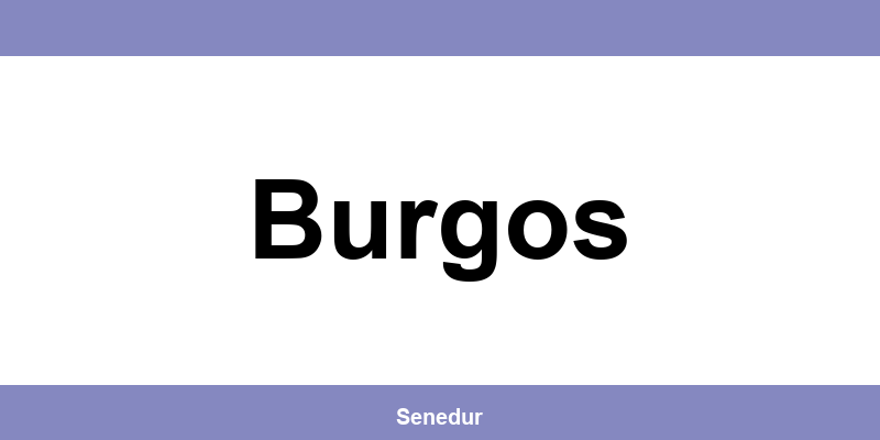 Teléfono directo de la oficina SEUR en Burgos